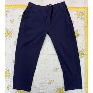 Public Rec All Day Every Day Pants Mens Navy Blue Stretch Performance 38x28